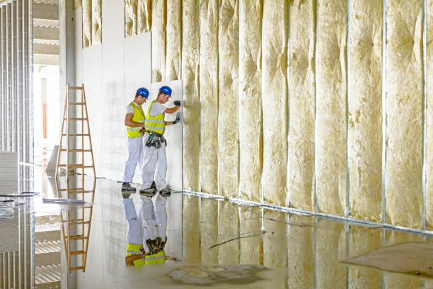 Best Garage Insulation  in Toluca, IL